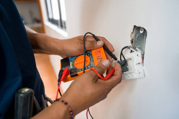 Best Home Electrical Repair  in North Branch, MI
