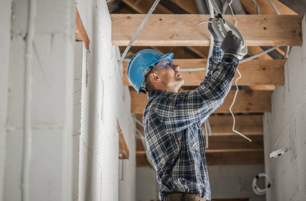Best Industrial Electrical Services  in North Branch, MI
