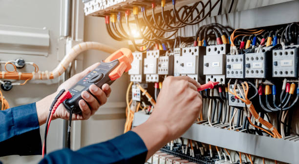 Best Electrical Troubleshooting Services  in North Branch, MI