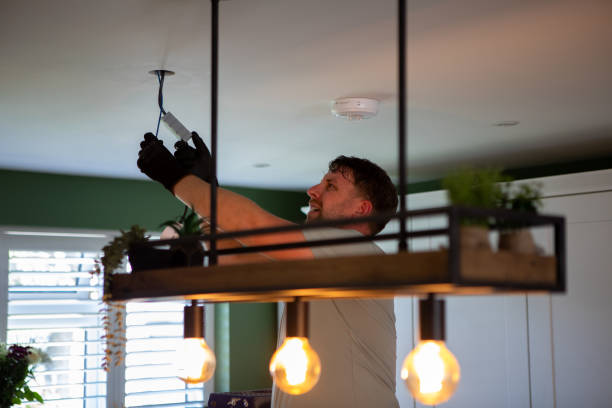 Best 24-Hour Electrician  in North Branch, MI