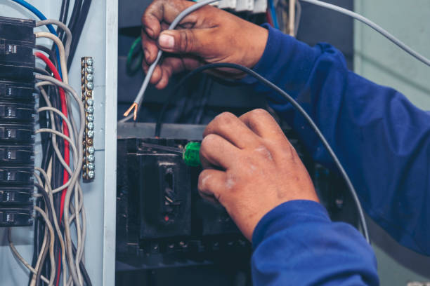 Best Emergency Electrical Repair  in North Branch, MI