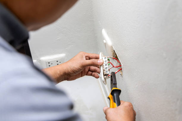 Best Licensed Electrician  in North Branch, MI